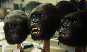 Congo is a 1995 action/adventure film (with a slight comedic streak) based on the novel of the same name written by michael crichton (of jurassic park fame … Congo Behind The Scenes Creating Animatronic Gorilla Suits At Stan Winston Studio Stan Winston School Of Character Arts