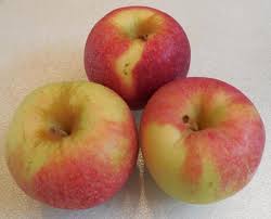 #p (apel merah) = 6/14 = 3/7 #. Apple Tree Kesegaran Penerangan Foto Ulasan Ciri Ciri Penanaman Dan Penjagaan