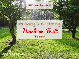 I am a singer song writer, guitarest if you need help writing originals you can contact me at (586). Lh 14 Growing And Restoring Fruit Trees