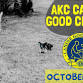 AKC Canine Good Citizen group class event image