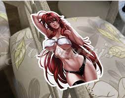 Highschool DxD Anime Rias Gremory Sticker Vinyl ecchi bikini sun fun  lingerie a. | eBay