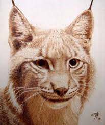 Pyrography Artists From Georgia Artwork Lynx By Artist Jcgonzalez Ahsap Oymaciligi Resimler Ahsap Yakma