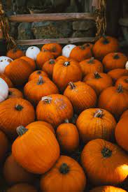 Hipwallpaper is considered to be one of. Pumpkin Patch Iphone Wallpaper 50 Fall Iphone Wallpapers That Ll Instantly Make You Feel Cozy Popsugar Tech Photo 36