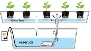 Hi everyone, jason from jason's indoor guide here. Hydroponics Deep Flow Technique System Dft