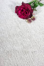 Dauertiefpreise große auswahl 30 tage rückgaberecht. Hochflor Langflor Shaggy Barbara Becker Touch Creme