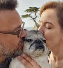 THE GOLDEN YEARS…Age old truths about wise old dogs.