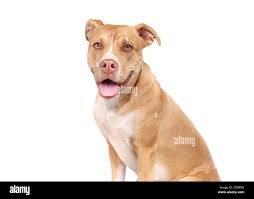 Waiting for something Cut Out Stock Images & Pictures