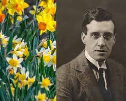 The man who 'saved' the daffodil