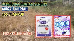 Merk racun rumput paling ampuh. Cara Membuat Racun Rumput Sendiri Dirumah Ii Murah Dan Mudah Youtube