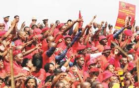 Sivutmuuaateeconomic freedom fightersvideoteff march to save lives. Thousands Turn Out For Eff Jo Burg March The Herald