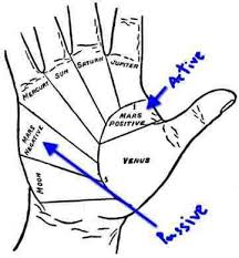 Career Job Business Line In Palmistry In 2020 Palmistry Palm Reading Palmistry Reading