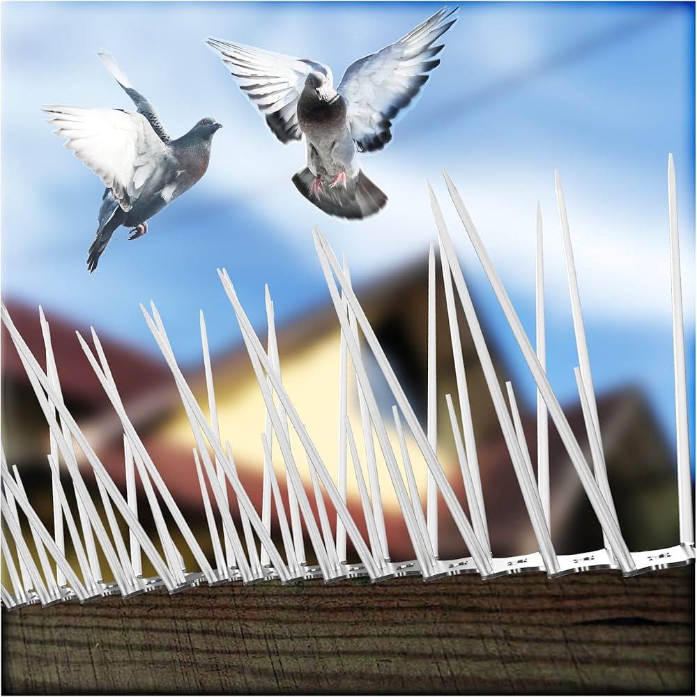 Bird Spikes Installation Service product image