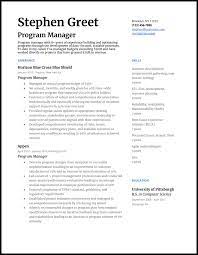 This is especially important for passing ats scans, which will be looking for standardized titles such as summary or work history. 5 Program Manager Resume Samples For 2021