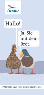 Vogel Im Winter Richtig Futtern Nabu Leipzig