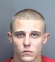 ᐅ Domestic Violence Registry