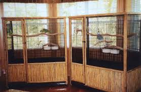 Indoor Aviary Construction Bird Aviary Backyard Birds Aviary
