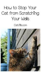 4 Tips To Stop Cats From Scratching Up Your Walls Furniture Cat Scratching Cat Training Scratching Cat Care