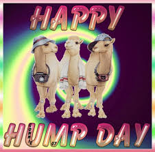 Hump day quote quotes humpday wednesday days of the week camels wednesday quotes. Top 30 Camel Hump Day Gifs Find The Best Gif On Gfycat