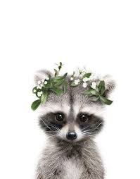 Pin By Elsa Martinez On Woodland Baby In 2020 Baby Animal Art Baby Animal Drawings Cute Animals