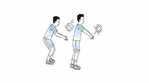 Langkah langkah melakukan passing bawah. Permainan Bola Voli Peraturan Teknik Posisi Dan Sejarah