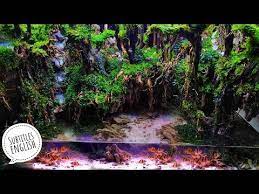 155 Membuat Hutan Tropis Didalam Aquarium Gilaaakkk Mirip Banged Sama Hutan Asli Youtube Aquarium Aquascaping Tropis