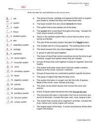 Cell Tissues Organs And Systems Grades 4 7 By Yvonne Bays Tpt