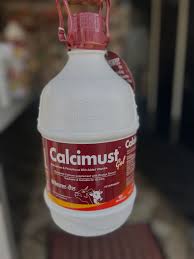 Image result for Oral Calcium