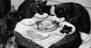 See everything that's on sale! 8 Best Cat Foods 2021 The Strategist