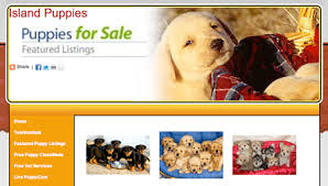 Like any pet store some things were a little pricey. Kathy Bauck Pet Store Sales