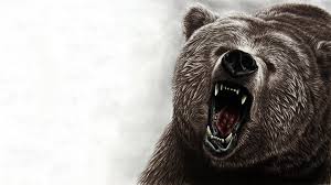 Browse the gallery below to select a new facebook cover photo, zoom backdrop, or a background image for your desktop or mobile device. Bear Wallpaper Hd 1920x1080 Download Hd Wallpaper Wallpapertip
