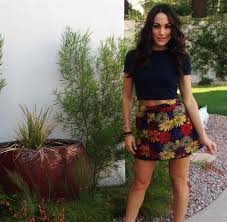 Brie Bella Style Brie Bella Fashion Bella Hair