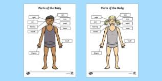 This article will shed some light on the various types of movements in the human body. Body Parts Worksheet Labelling Activity Teacher Made