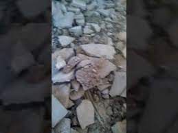 Stas mihailov nu vot i vse. Nu Vot Nu Vot Tavarisc I Kak Tvaja Docka Vzpominky Letcu Serie Specialy Flying Revue Skachivaj I Slushaj Nu Vot I Alena Skok Nu Vot Takie Brat Dela Na Hitparad Fm