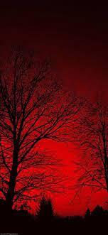 Dark Red Aesthetic On Tumblr Red Aesthetic Grunge Dark Red Wallpaper Dark Red Background