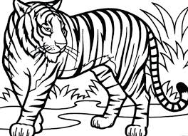 Check out more printable tiger coloring pages which can enhance their creativity and develop their imaginative skills. Beautiful Tiger Coloring Page Free Printable Coloring Pages For Kids