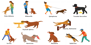 Kopek Psikolojisi Dr Vet Hek Gurbuz Erturk Kopek Egitim Uzmani Egitici Egitmeni Kopek Psikologu Kedi Psikologu Kopek Psikiyatristi Kedi Psikiyatristi