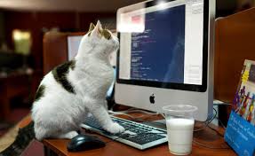 Computer mouse games for cats. Github Saymosaic Mosaic Javascript Naming Convention A Series Of Examples With Cats