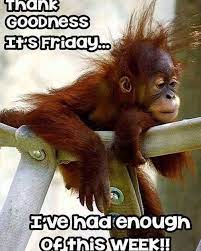 Good night sweet dreams meme. 40 Good Night Memes Funny Goodnight Memes Images Boom Sumo