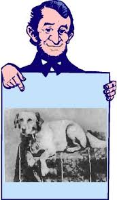 Fido guard is our professional anti spam solution which sits in the cloud and filters your emails providing you with quarantine, archiving and a clean inbox! Why Are Dogs So Frequently Called Fido Psychology Today