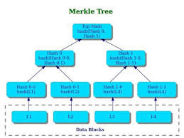 Computer Security And Pgp What Is A Merkle Tree Merkle Tree Computer Security Data Integrity