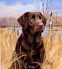 Sporting Dog Paintings By Jim Killen Labrador Art Dog Paintings Labrador Dog