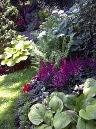 Information About Rate My Space Plants Shade Garden Woodland Garden