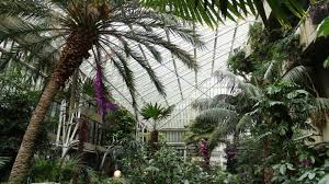 The eos rebel sl1 combines the high. Canon Rebel T100 The Cheapest Dslr Ever Petapixel