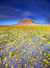 Cool Drive Through Badlands National Park Exclusive On Travelarize Travel Site Nature National Parks Nature Photography