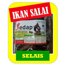 Ikan selais yang memiliki nama lain salai, ikan salai artinya ikan yang diasap. Harga Ikan Salai Selais Terbaru Mei 2021 Biggo Indonesia
