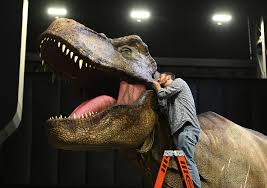 Rex on alibaba.com, mainly located in asia. Dinosaurs Roam Where Elephants Stood The New York Times