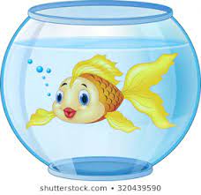 Gold Fish Aquarium On White Background Stock Illustration 209906827 Golden Fish Aquarium Drawing Drawing For Kids