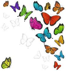 Sammlung von carina st • zuletzt aktualisiert: Bilder Bunte Schmetterlinge Gratis Vektoren Fotos Und Psds