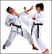 And monthly fees apply to continue to receive taekwondo learning and interact with friends and trainers on an ongoing. 300 Latihan Belajar Taekwondo For Android Apk Download