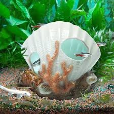 Decor, plants, and substrate will take up more room in a smaller aquarium than they will in a larger. The Six Best Betta Fish Caves Betta Source Cozy Betta Fish Homes